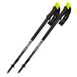 Trekkingstöcke Fizan Compact Pro grau grey