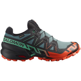Herren Laufschuhe Salomon Speedcross 6 Gore-Tex blau/grün North Atlantic / Black / Cherry Tomato