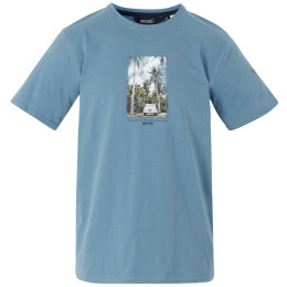 Herren T-Shirt Regatta Cline IX blau/hellblau CorntBluJeep