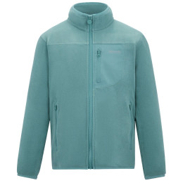 Kinder-Sweatshirt Regatta Junior Frankie F/Z Ivy Moss hellgrün Ivy Moss