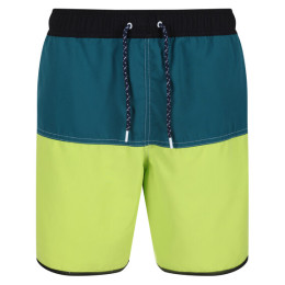 Herrenbadeanzug Regatta Benicio SwimShort grün BrKiw/PacfGr