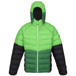 Herrenjacke Regatta Harrock II grün Jasmine Green/Field Green