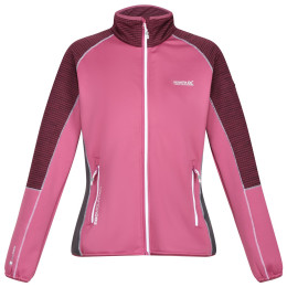 Damen-Sweatshirt Regatta Wmns Yare VI rosa Violet/AmaHz