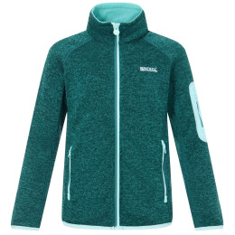Kinder-Sweatshirt Regatta Junior Newhill DrkForGlacGr grün DrkForGlacGr