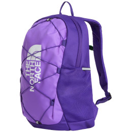 Schulrucksack für Oberstufe The North Face Y Court Jester