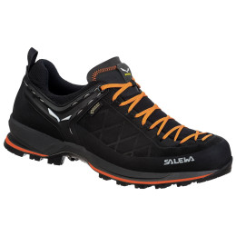 Herrenschuhe Salewa Ms Mtn Trainer 2 Gtx