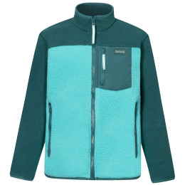 Kinder-Funktions-Sweatshirt Regatta Junior Frankie Warm Fleece Mediterranea/Turquoise hellgrün/dunkelgrün Mediterranea/Turquoise