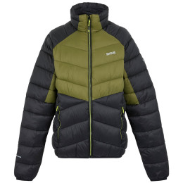 Herrenjacke Regatta Dalent grün/schwarz NphteGrn/Blk