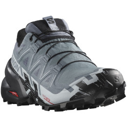 Damenschuhe Salomon Speedcross 6 Gore-Tex grau Flint Stone / Black / Heather