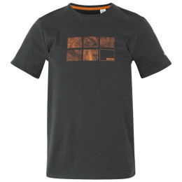 Herren-T-Shirt Regatta Breezed V grau Ash