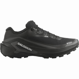 Herren Laufschuhe Salomon Genesis 2 GTX