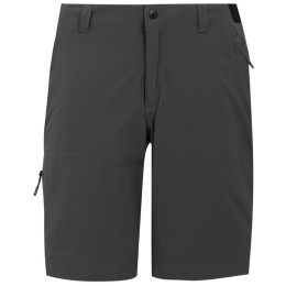 Herrenshorts Regatta Eldes Shorts grau Ash/Black