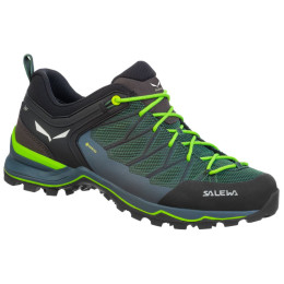 Herrenschuhe Salewa Ms Mtn Trainer Lite Gtx
