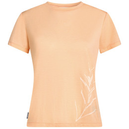Damen-Funktionsshirt Icebreaker Merino Blend Core SS Tee Panax