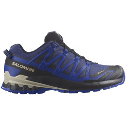Wanderschuhe Salomon Xa Pro 3D V9 Gore-Tex blau Blue Print / Surf The Web / Lapis Blue