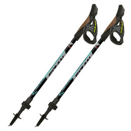 Nordic Walking Stöcke Fizan R-Evolution