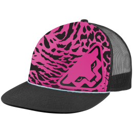 Baseballmütze Dynafit Graphic Trucker Cap
