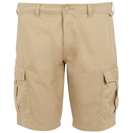 Herrenshorts Regatta Ruwan Shorts beige Oat