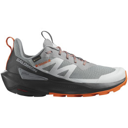 Wanderschuhe Salomon Elixir Activ Gore-Tex grau Sharkskin