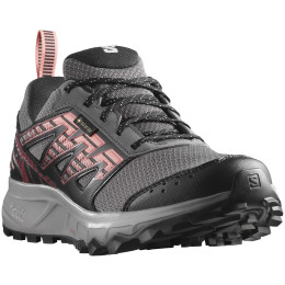 Damen Laufschuhe Salomon Wander Gore-Tex grau Plum Kitten / Black / Peach Amber