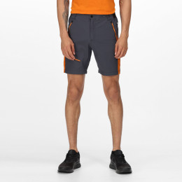 Herrenshorts Regatta Highton Pro Short grau/orange IndiaGry/Fox