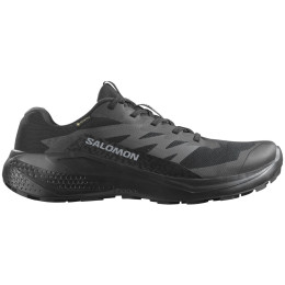 Herren Laufschuhe Salomon Alphaglide Gore-Tex