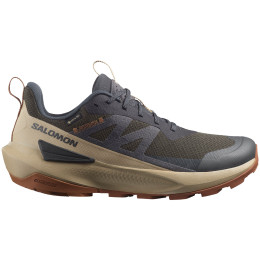 Damen Trekkingschuhe Salomon Elixir Activ Gore-Tex grau Phantom / Safari / Caramel Cafe