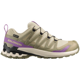 Damen Wanderschuhe Salomon Xa Pro 3D V9 Gore-Tex
