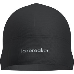 Mütze Icebreaker U Mer 200 Oasis Beanie schwarz Black