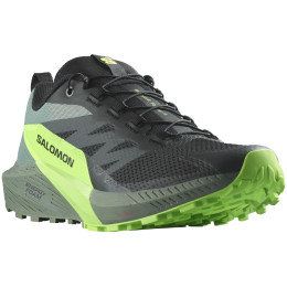 Herren Laufschuhe Salomon Sense Ride 5 schwarz/grün Black