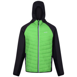 Herrenjacke Regatta Andreson VIII Hybrid grün Jasmine Green/Ash
