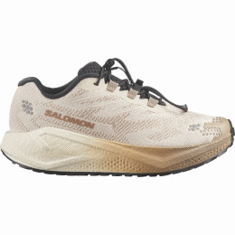 Damen Laufschuhe Salomon Aero Blaze 4 Grvl W