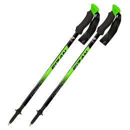 Trekkingstöcke Fizan Compact grün/schwarz Green