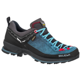 Damenschuhe Salewa Ws Mtn Trainer 2 Gtx