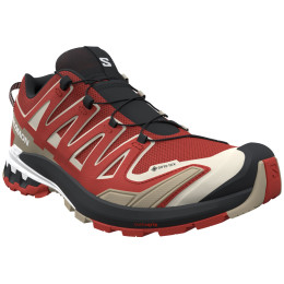 Wanderschuhe Salomon Xa Pro 3D V9 Gore-Tex rot Aurora Red / Safari / White
