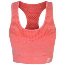 Büstenhalter Dare 2b Dont Sweat It Bra orange/weinfarbe AprctBlshMrl