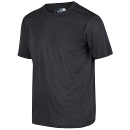 Herren-T-Shirt Regatta Fingal Edition dunkelgrau Ash