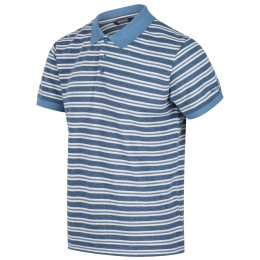 Herren-T-Shirt Regatta Malak hellblau StellarStrpe (EM6)