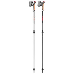 Nordic Walking Stöcke Leki Poles Instructor Lite schwarz/rot dark anthracite-silvergray-bright red