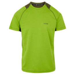 Herren-T-Shirt Regatta Virda IV hellgrün GrnbGn/NphGn