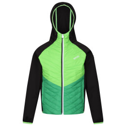 Kinderjacke Regatta Kielder HybridVII schwarz Black/Jasmine Green