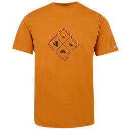 Herren-T-Shirt Regatta Fingal Stretch orange Fox