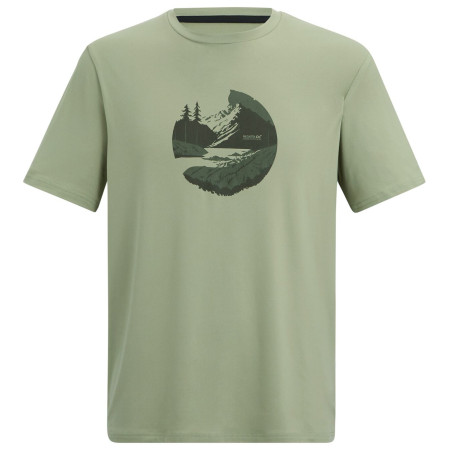 Herren-T-Shirt Regatta Fingal Stretch grün Light Sage