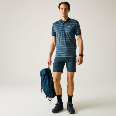 Herren-T-Shirt Regatta Kildra