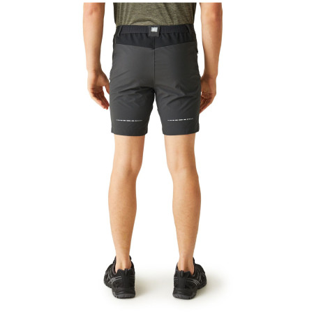 Herrenshorts Regatta Mountain ShortsII M