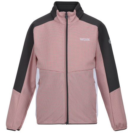 Kinder-Sweatshirt Regatta Jnr Highton FZ II hellrosa DuskyRs/SlGy