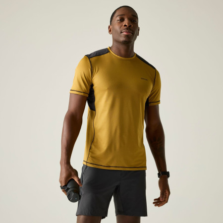 Herren-T-Shirt Regatta Virda