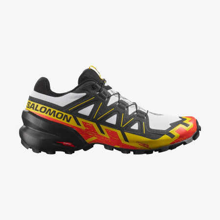 Herrenschuhe Salomon Speedcross 6