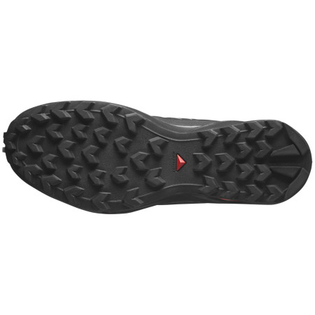 Herrenschuhe Salomon Speedcross Peak