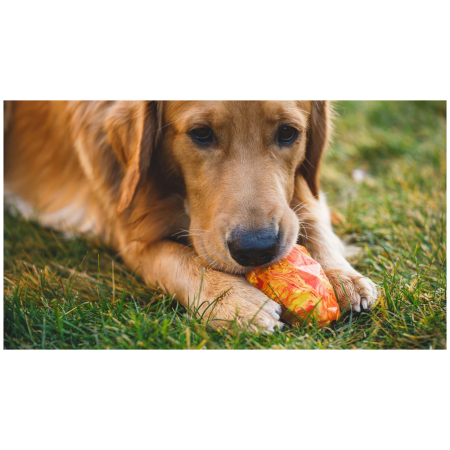 Hundespielzeug Ruffwear Gnawt-a-Cone™ Toy